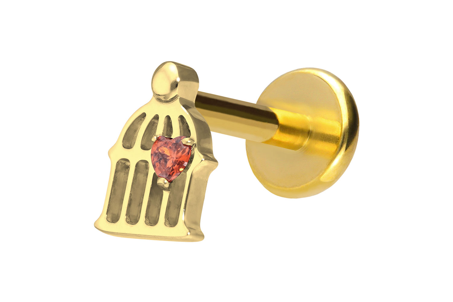 Titan Labret Piercing mit Push Fit KÄFIG